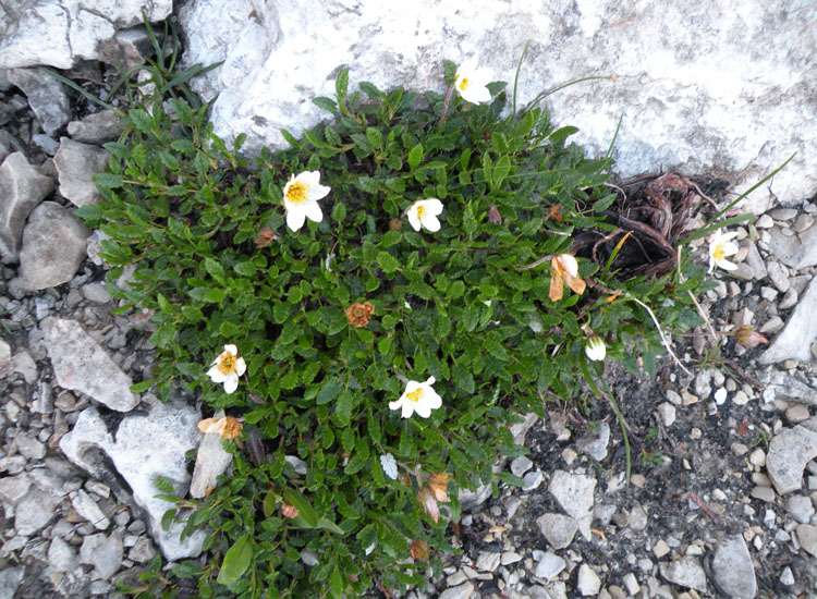 A zonzo sulle Dolomiti del Brenta 4